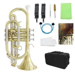 Brass |  LADE Professional Bb Flat Cornet Brass Instrument with Carrying Case Gloves Cleaning Cloth Brushes Brass Brass